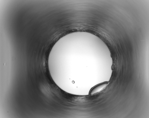 X0000094340132200711021156