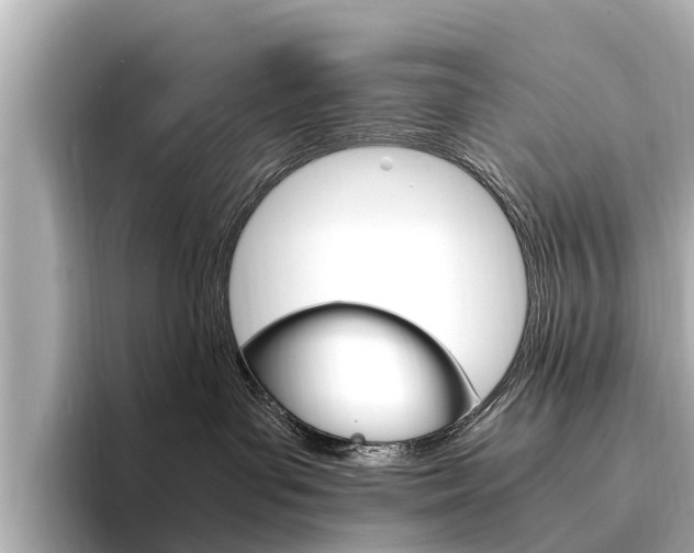 X0000094340143200711021156