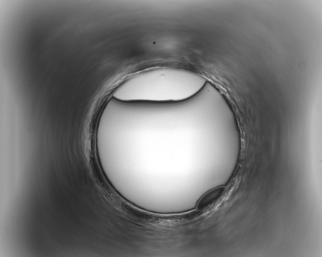 X0000094340149200711021155