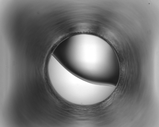 X0000094340160200711021155