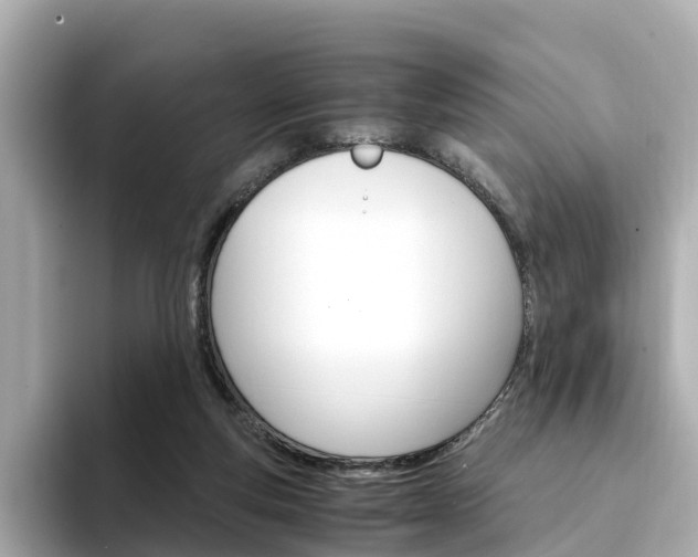 X0000094340163200711021155