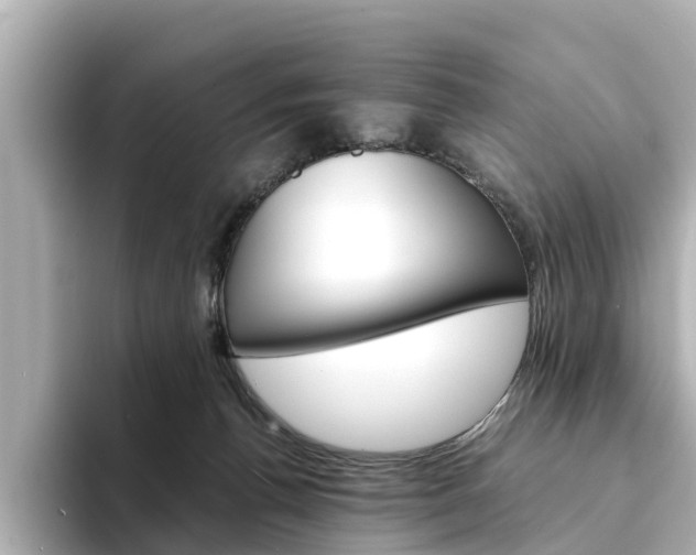 X0000094340176200711021155