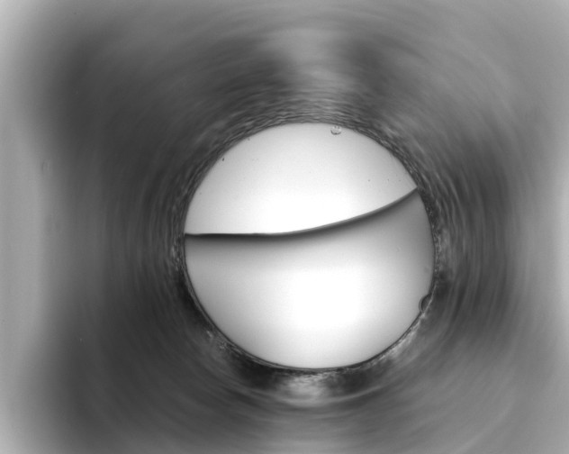 X0000094340178200711021155