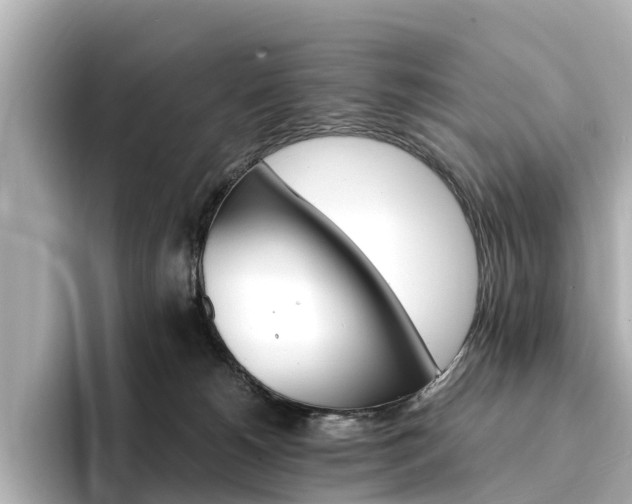 X0000094340180200711021156