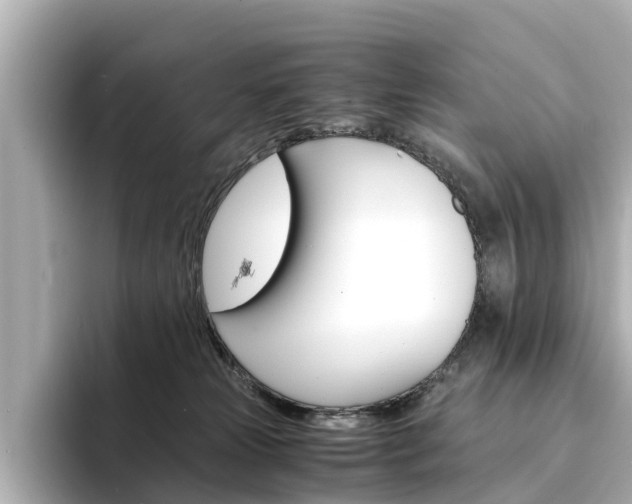 X0000094340181200711021156