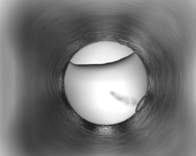 X0000094340189200711021156