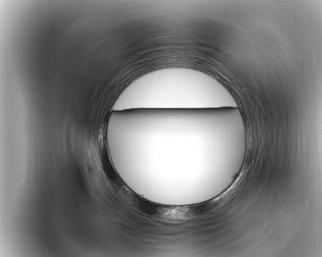 X0000094340191200711021156