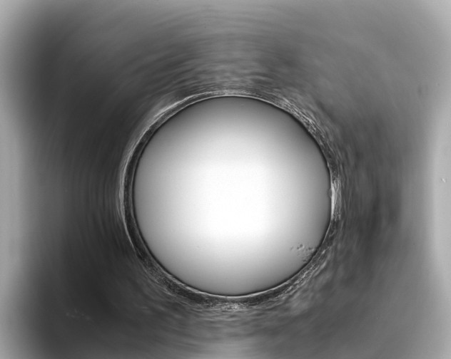 X0000094340195200711021155