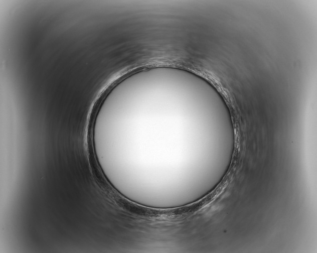 X0000094340196200711021155