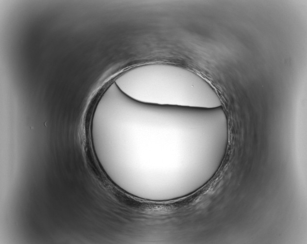 X0000094340198200711021155
