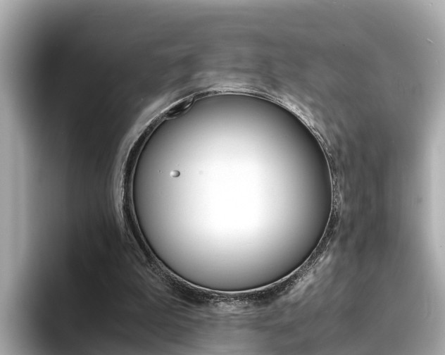 X0000094340199200711021155