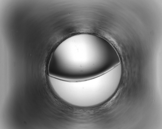 X0000094340201200711021155