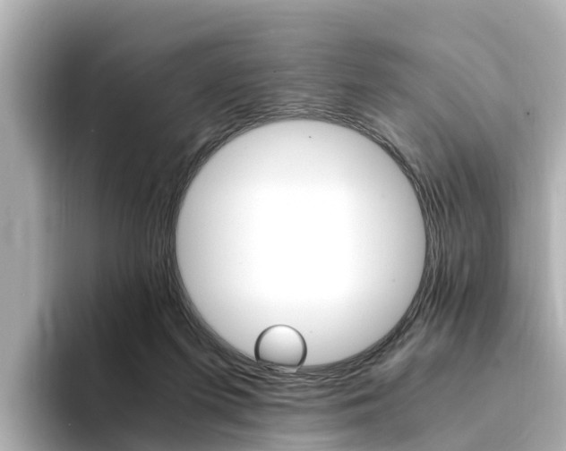 X0000094340215200711021155