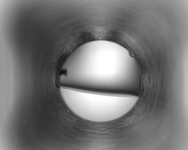 X0000094340221200711021155