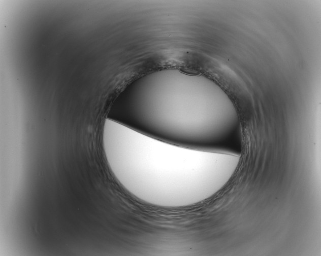 X0000094340223200711021155