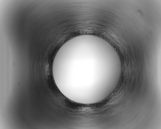 X0000094340224200711021155