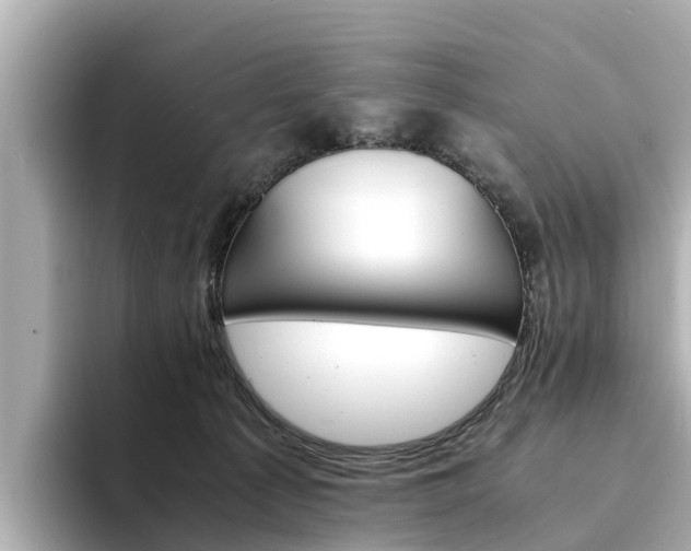 X0000094340225200711021155
