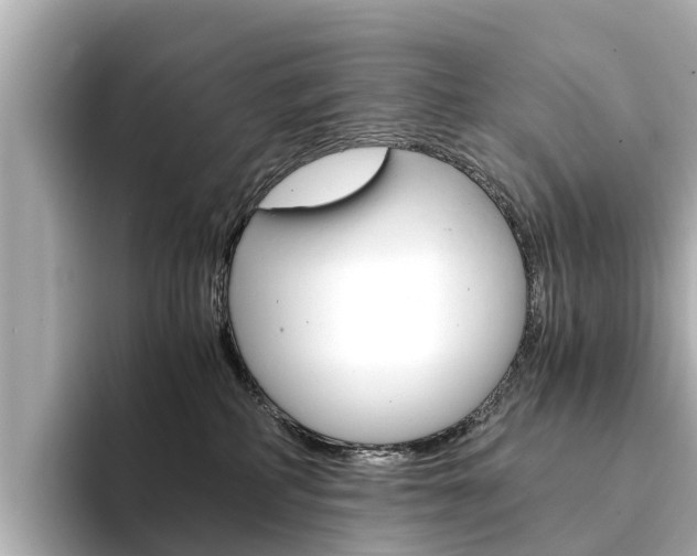 X0000094340234200711021155
