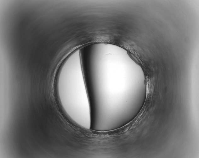 X0000094340243200711021154