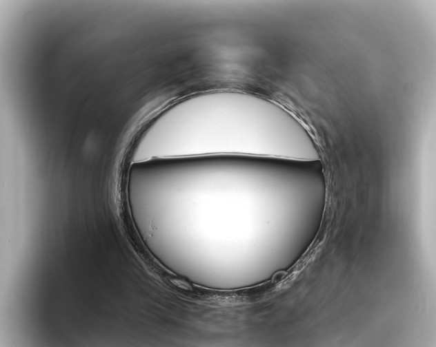 X0000094340245200711021154