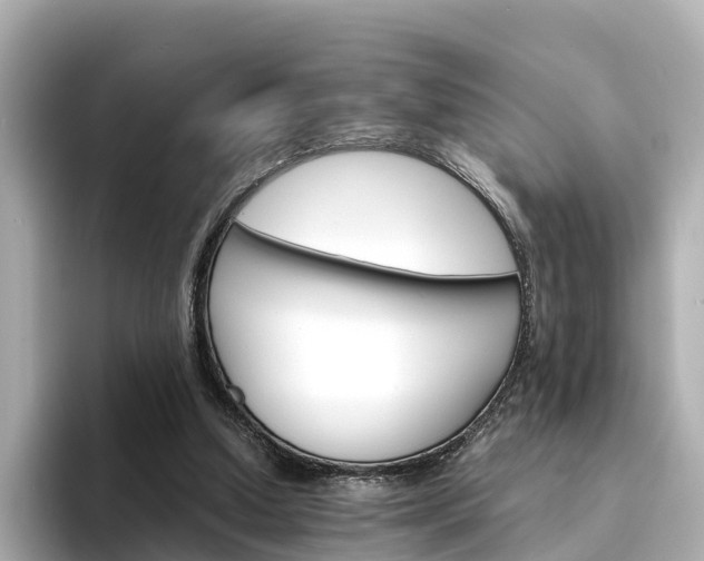 X0000094340250200711021154