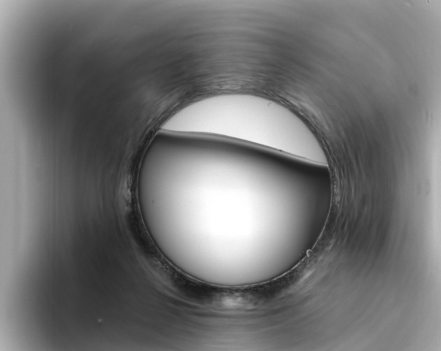 X0000094340264200711021154