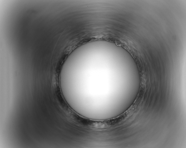 X0000094340272200711021154