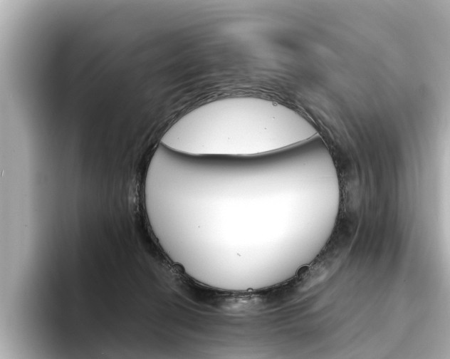 X0000094340274200711021154