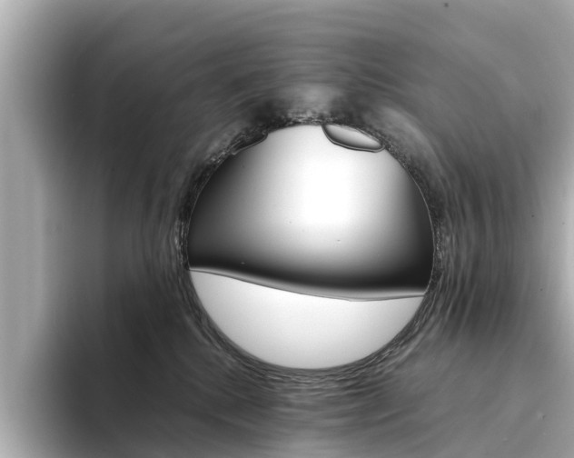 X0000094340280200711021154