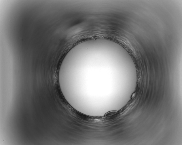 X0000094340285200711021155