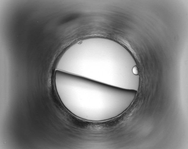 X0000094340299200711021154
