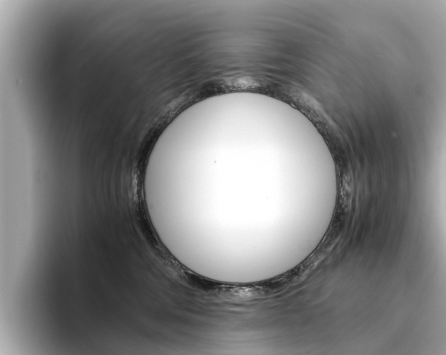 X0000094340330200711021153