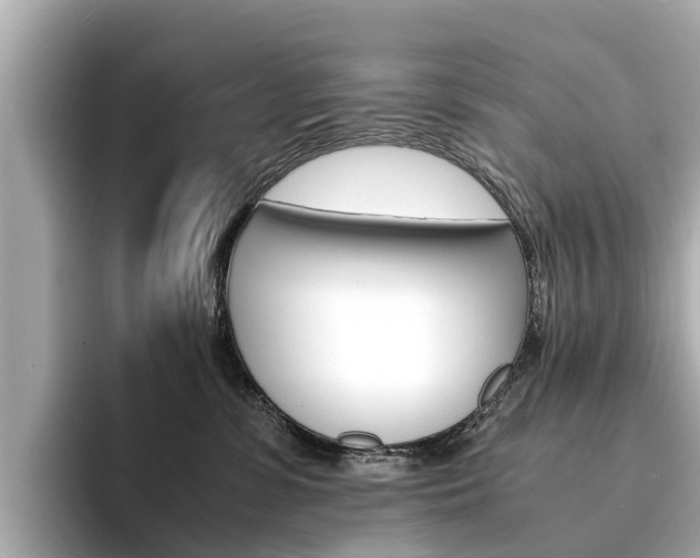 X0000094340331200711021153
