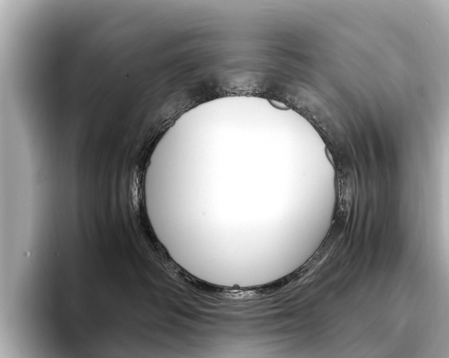 X0000094340334200711021153