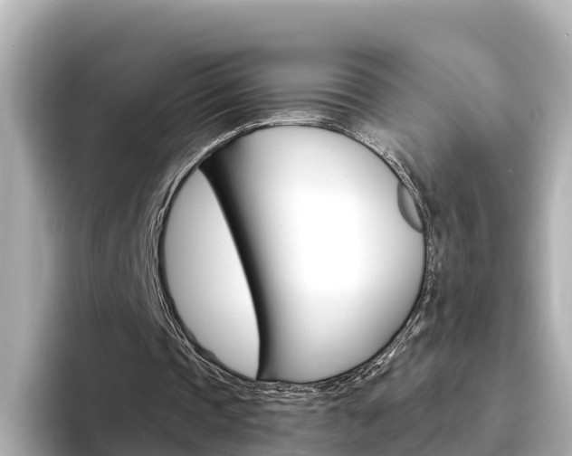 X0000094340337200711021153