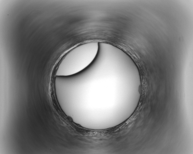 X0000094340338200711021153