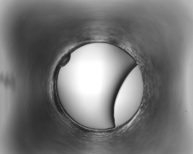 X0000094340342200711021153