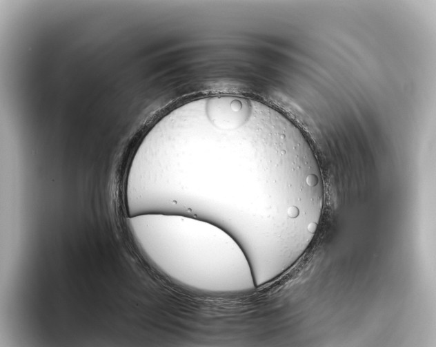 X0000094340347200711021153