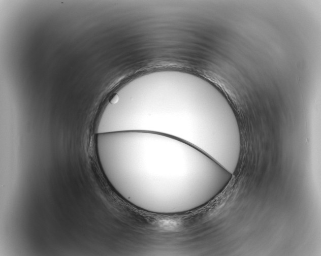 X0000094340352200711021153