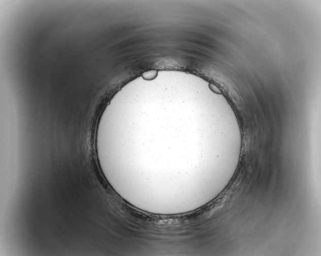 X0000094340353200711021153