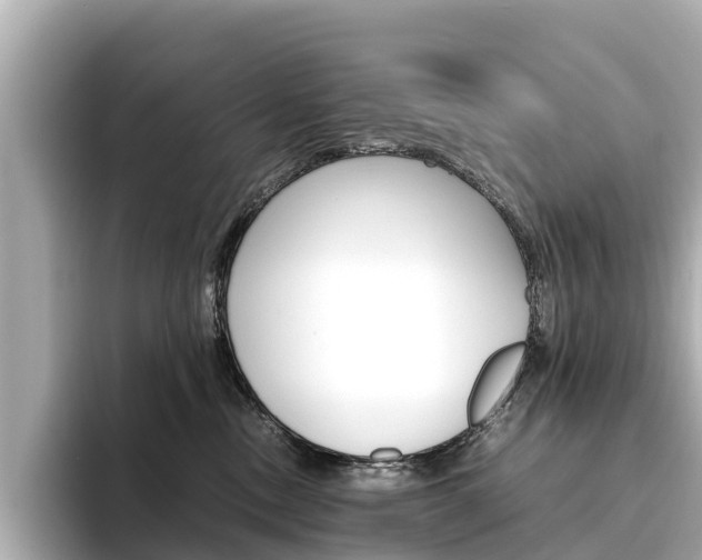 X0000094340378200711021153