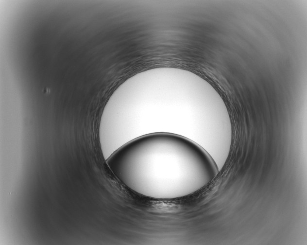 X0000094340380200711021153