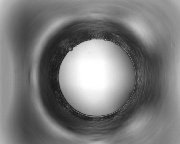 X0000094340383200711021153