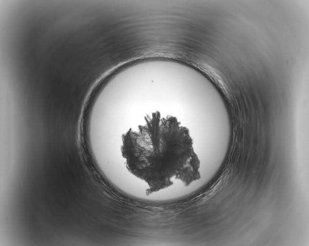 X0000094340388200711021153