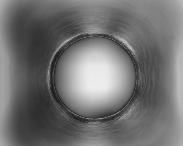 X0000094340391200711021153