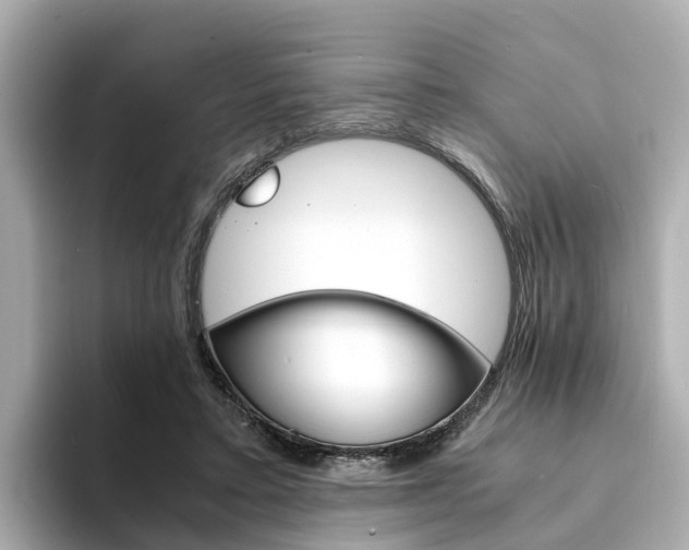 X0000094340403200711021153