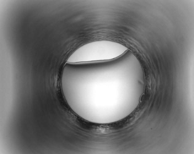 X0000094340420200711021152