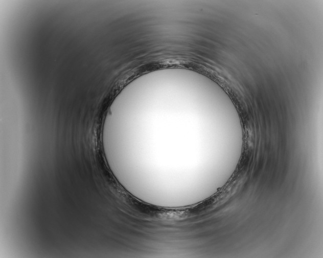 X0000094340422200711021152