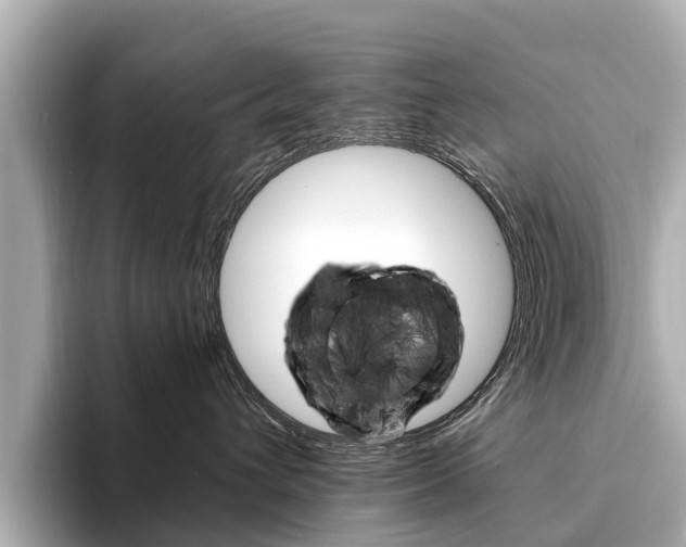 X0000094340432200711021152