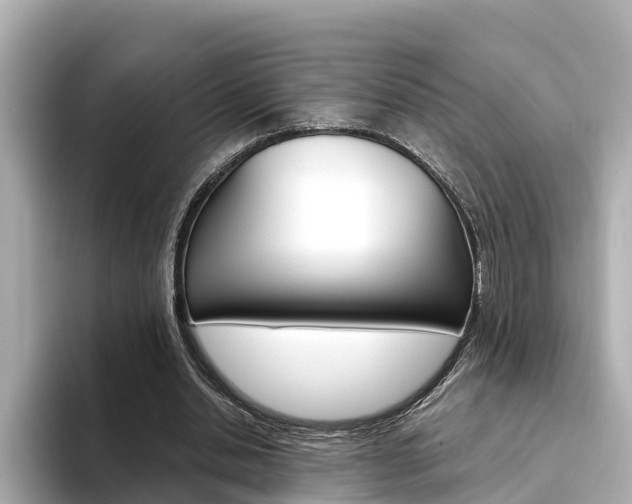 X0000094340438200711021152